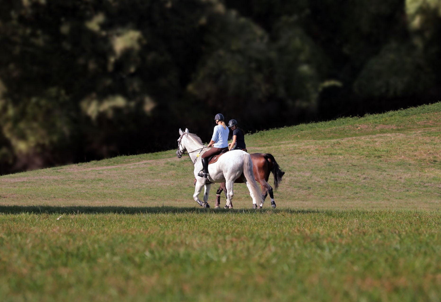 Paseo a caballo con Paella o Picnic